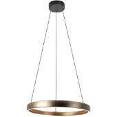 Eglo TRABUCO, Mat, 6500 K, IP20, Zwart, Bruin