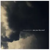 Cd Liquid Newt& Frank M. Spi - Walk With Scars -Mcd-
