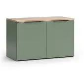 Vicco Wido Sideboard – 80 x 50 cm met 2 deuren Groen