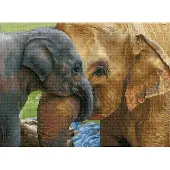 Diamond Dotz Baby's Comfort - Diamond Painting - 27.690 Dotz - 52x38 cm