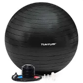Tunturi Anti Burst Fitness bal met Pomp - Yoga bal 90 cm - Pilates bal - Zwangerschapsbal – 220 kg gebruikersgewicht - Incl Trainingsapp – Zwart