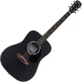 Pasadena PD-100 Black Akoestische gitaar