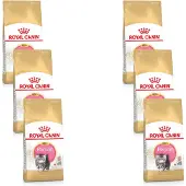 Royal Canin 6x Kattenvoer Droog Persian Kitten 2 kg
