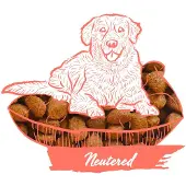 Calibra Dog Expert Nutrition Neutered