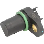 Delphi SS11250 Krukassensor