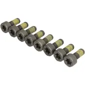LuK Schroevenset voor vliegwiel 411 0259 10