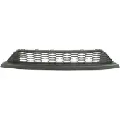 BLIC 6502-07-2904911P Ventilatiegrille, bumper