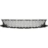 BLIC 6502-07-8171915P Ventilatiegrille, bumper