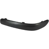 BLIC Sierlijst/beschermstrip, bumper 6502-07-8109972P rechts