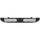 BLIC 6502-07-3183910P Radiator grill