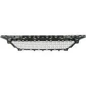 BLIC 6502-07-3522910P Ventilatiegrille, bumper
