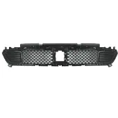 BLIC 6502-07-3208915P Ventilatiegrille, bumper