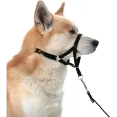 Flamingo Easy Leader - Hoofdhalsband Honden - Halsband Easy Leader Zwart Xl 55-74cm 15mm