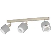 Eglo 3-lichts plafondlamp Bellizzi RVS - 2x E14