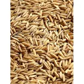 Bird-X Paddy Rijst Vogelvoer - 4 kg
