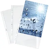 Durable insteekhoesjes Premium, A4, bovenaan open, 100 stuks, generfd, transparant