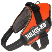 JULIUS K-9 IDC Powair Oranje - Maat 2XS