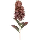 Countryfield Kunstbloem Paniculata Hydrangea Koper Bruin bruin Kunststof