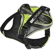 JULIUS K-9 IDC Longwalk - neongrijs 2XS (Hond, Hondensport), Kraag + Leiband