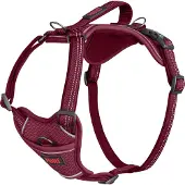 Company of animals Anatomy Harness