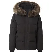 Superdry Winterjas 'Everest' zwart