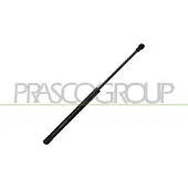 PRASCO VG9049001 Gasveer motorkap