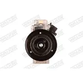 Walker WCP01066 Aircopomp