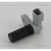 TRISCAN 8855 17105 Krukassensor