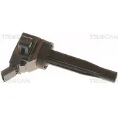TRISCAN 8860 43061 Bobine