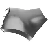 BLIC Bumper 5506-00-6046961P links