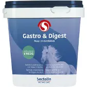 Sectolin Gastro & Digest