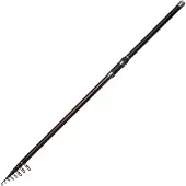 Dam Backbone Ii Stellfisch Carpfishing Rod Zilver 6.00 m / 50-100 g