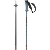 Salomon Polar Pro Stokken