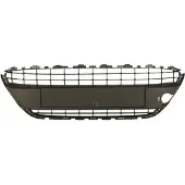 BLIC Ventilatierooster, bumper 6509-01-2565995P
