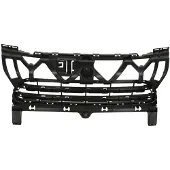BLIC 6502-07-5721915P Ventilatiegrille, bumper