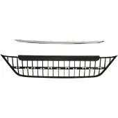 BLIC 6502-07-2018996P Radiator grill