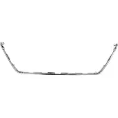BLIC Sierlijst/beschermstrip, bumper 6502-07-8118913P