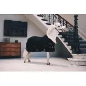 Kentucky Horsewear Horsewear - Showdeken - Zwart - 80/130