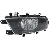 Zkw 769.01.000.99 Mistlamp
