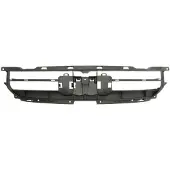 BLIC Element van de radiatordop 6502-07-0029995P