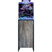Aquadistri Blue Marine reef 60 meubel zwart/pasa Blue Marine