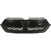 BLIC 6502-07-1311991P Radiator grill