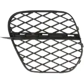 BLIC 6502-07-0096925P Ventilatiegrille, bumper