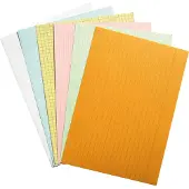 Exacompta 20x Pak 100 steekkaarten onder krimpfolie - Bristol geruit 5x5 niet geperforeerd 105x148mm - Geassorteerd - 10254E