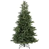 Everlands Geneva Fir 180 cm