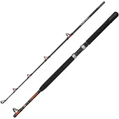 Penn Warfare Ii Boat Jigging Rod Zilver 1.83 m / 50 Lbs