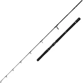 Penn Squadron Iv Jigging Rod Zilver 2.04 m / 300-600 g