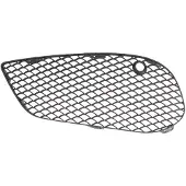 BLIC Bumper - ventilatierooster 6502-07-3521913P links
