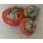 Warentuin Collection Turkse Muts Cucurbita