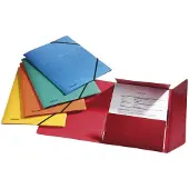 Esselte elastomap luxe glanskarton assortiment (25 stuks)
